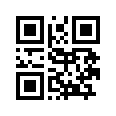 Ticket QR Code